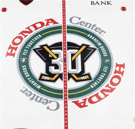 anaheim ducks ice hockey news.